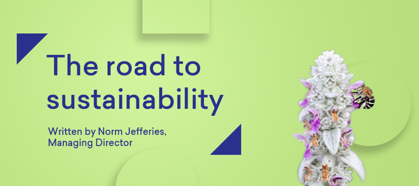 road-to-sustainability